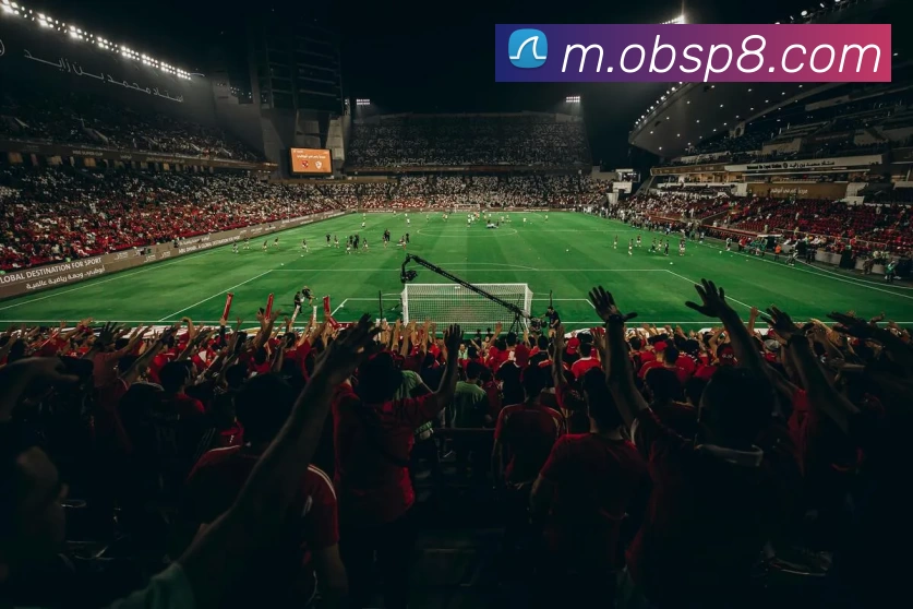 欧宝体育平台生态图