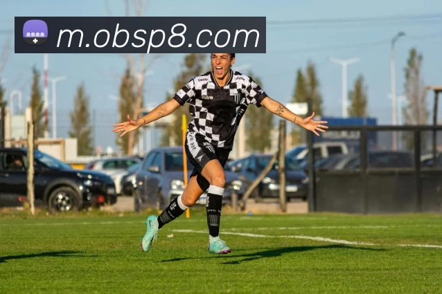 欧宝体育APP 封面图